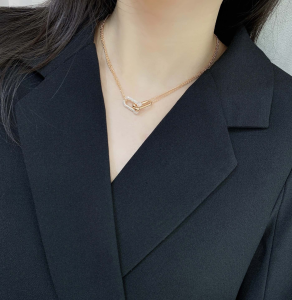 Luxury Womens Jewelry Tiffany HardWear Double Link Pendant Necklace A205PP260 AA151976