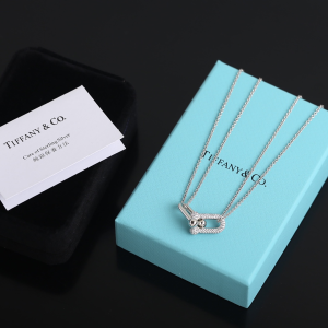 Luxury Womens Jewelry Tiffany HardWear Double Link Pendant Necklace A205PP260 AA151976
