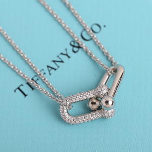 Luxury Womens Jewelry Tiffany HardWear Double Link Pendant Necklace A205PP260 AA151976