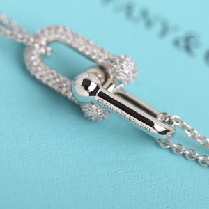 Luxury Womens Jewelry Tiffany HardWear Double Link Pendant Necklace A205PP260 AA151976