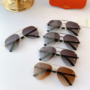 Luxury Mens Sunglasses Cartier Luxury Sunglasses CA0940 A65PP180 AA152709