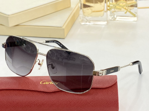 Cartier Luxury Sunglasses CA0960 
