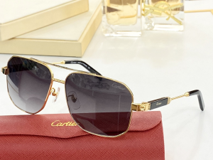 Cartier Luxury Sunglasses CA0960 