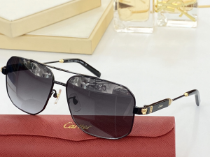 Cartier Luxury Sunglasses CA0960 