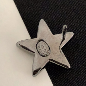 Luxury Womens Jewelry Chanel Star Earrings A39PP110 AA152039