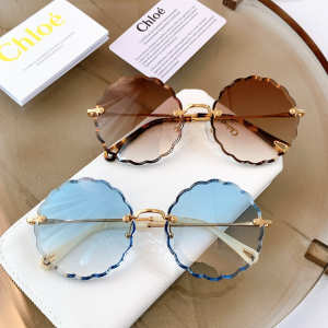 Luxury Womens Sunglasses Chloe Luxury Sunglasses CE142 A65PP180 AA152488