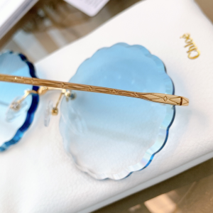 Luxury Womens Sunglasses Chloe Luxury Sunglasses CE142 A65PP180 AA152492