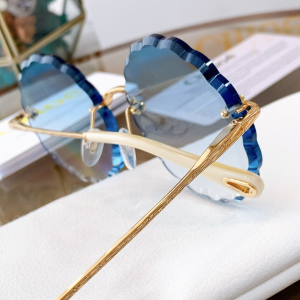 Luxury Womens Sunglasses Chloe Luxury Sunglasses CE142 A65PP180 AA152492