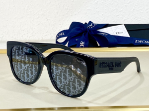 Dior Luxury Sunglasses Wildior BU 