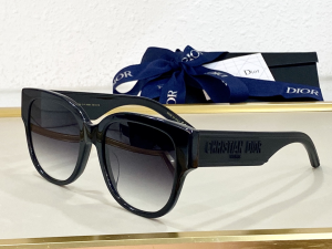 Dior Luxury Sunglasses Wildior BU 
