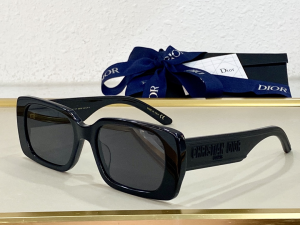 Dior Luxury Sunglasses Wildior S2U 