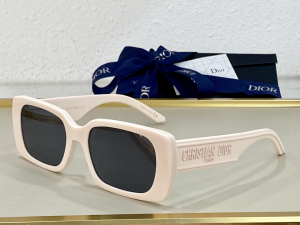 Dior Luxury Sunglasses Wildior S2U 