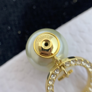 Luxury Womens Jewelry Dior Tribales Earrings A205PP170 AA154504