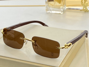 Cartier Luxury Sunglasses CT8101016 