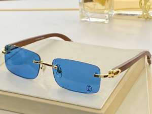 Cartier Luxury Sunglasses CT8101016 
