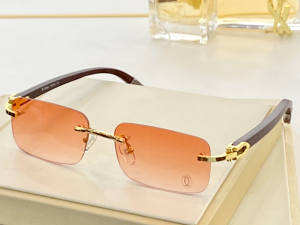 Cartier Luxury Sunglasses CT8101016 