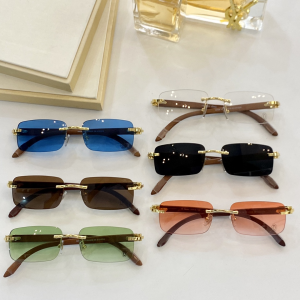 Luxury Womens Sunglasses Cartier Luxury Sunglasses CT8101016 A65PP180 AA154853