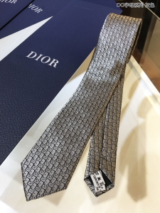 Dior Gray Dior Oblique Tie 