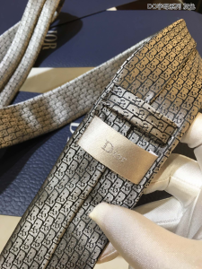Luxury Mens Ties Dior Gray Dior Oblique Tie A151PP160 AA155309