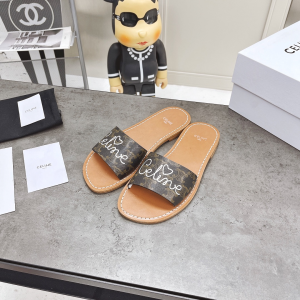 Luxury Womens Shoes Celine Brown Triomphe Slide Sandal 35 To 39 A151PP420 AA156880