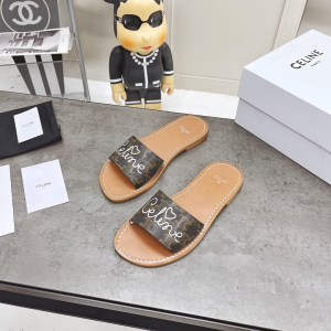 Luxury Womens Shoes Celine Brown Triomphe Slide Sandal 35 To 39 A151PP420 AA156880