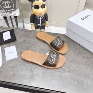Luxury Womens Shoes Celine Brown Triomphe Slide Sandal 35 To 39 A151PP420 AA156880