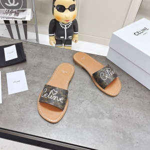 Luxury Womens Shoes Celine Brown Triomphe Slide Sandal 35 To 39 A151PP420 AA156880