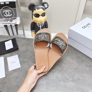 Luxury Womens Shoes Celine Brown Triomphe Slide Sandal 35 To 39 A151PP420 AA156880