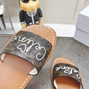 Luxury Womens Shoes Celine Brown Triomphe Slide Sandal 35 To 39 A151PP420 AA156880