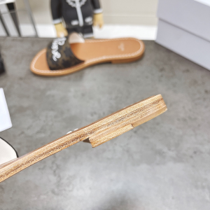 Luxury Womens Shoes Celine Brown Triomphe Slide Sandal 35 To 39 A151PP420 AA156880