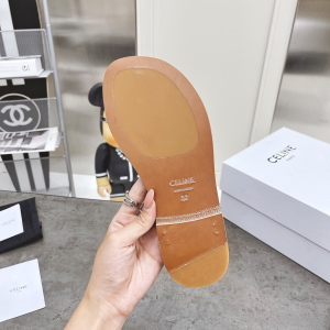 Luxury Womens Shoes Celine Brown Triomphe Slide Sandal 35 To 39 A151PP420 AA156880