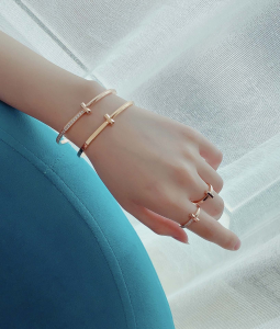 Luxury Womens Jewelry Tiffany T1 Narrow Hinged Bangle Bracelet A205PP350 AA156983