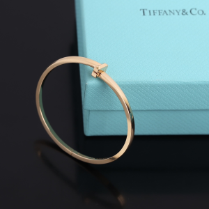 Luxury Womens Jewelry Tiffany T1 Narrow Hinged Bangle Bracelet A205PP350 AA156983