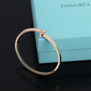 Luxury Womens Jewelry Tiffany T1 Narrow Hinged Bangle Bracelet A205PP350 AA156983