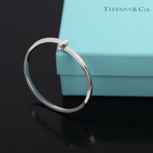 Luxury Womens Jewelry Tiffany T1 Narrow Hinged Bangle Bracelet A205PP350 AA156983