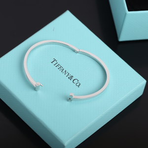 Luxury Womens Jewelry Tiffany T1 Narrow Hinged Bangle Bracelet A205PP350 AA156983