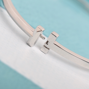 Luxury Womens Jewelry Tiffany T1 Narrow Hinged Bangle Bracelet A205PP350 AA156983