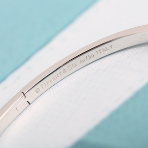 Luxury Womens Jewelry Tiffany T1 Narrow Hinged Bangle Bracelet A205PP350 AA156983