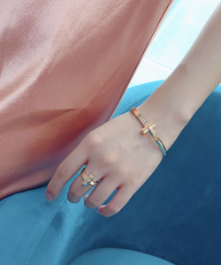 Luxury Womens Jewelry Tiffany T1 Narrow Hinged Bangle Bracelet A205PP420 AA156981