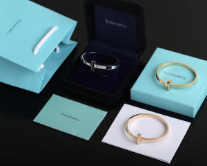 Luxury Womens Jewelry Tiffany T1 Narrow Hinged Bangle Bracelet A205PP420 AA156981