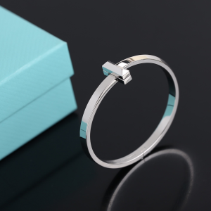 Luxury Womens Jewelry Tiffany T1 Narrow Hinged Bangle Bracelet A205PP420 AA156981