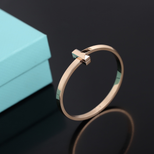 Luxury Womens Jewelry Tiffany T1 Narrow Hinged Bangle Bracelet A205PP420 AA156981