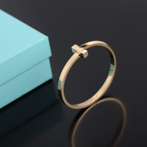 Luxury Womens Jewelry Tiffany T1 Narrow Hinged Bangle Bracelet A205PP420 AA156981