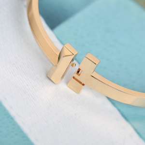 Luxury Womens Jewelry Tiffany T1 Narrow Hinged Bangle Bracelet A205PP420 AA156981