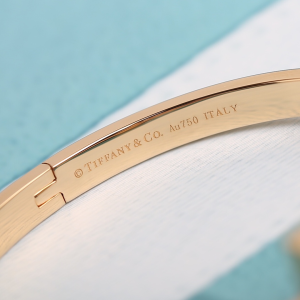Luxury Womens Jewelry Tiffany T1 Narrow Hinged Bangle Bracelet A205PP420 AA156981