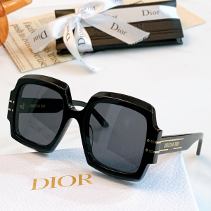 Dior Luxury Sunglasses Signature S1U 