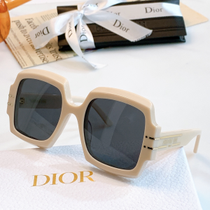 Dior Luxury Sunglasses Signature S1U 