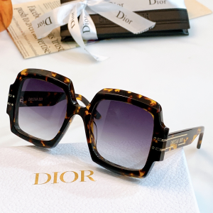 Dior Luxury Sunglasses Signature S1U 