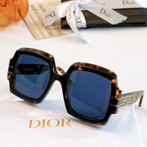 Dior Luxury Sunglasses Signature S1U 