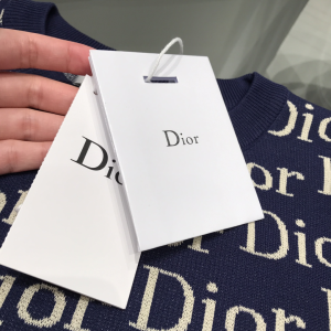 Luxury Womens Clothing Dior Allover Dior Logo Print Knitwear SML A29PP580 AA157765